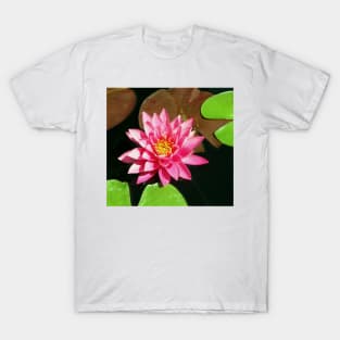 Fuchsia Pink Water Lilly Flower floating in Pond T-Shirt